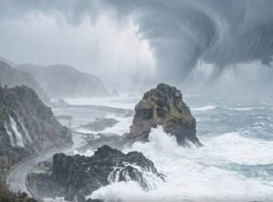 Typhoon Dolphin